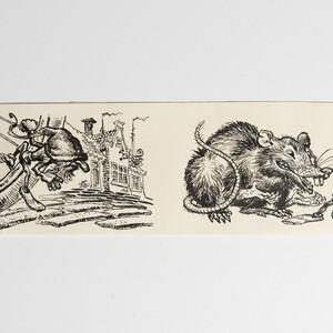 Rat pen - Gerard van Straaten
